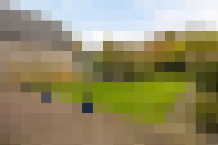 Voorstraat 85 Velddriel thumbnail 40