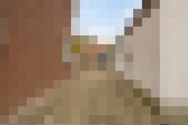 Voorstraat 85 Velddriel thumbnail 44