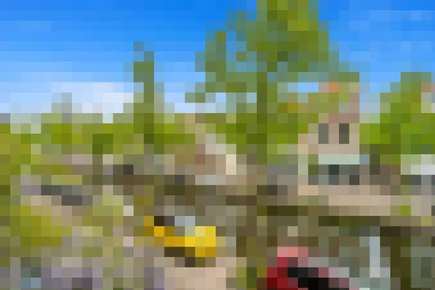 Voorstraat 87 A Delft thumbnail 10