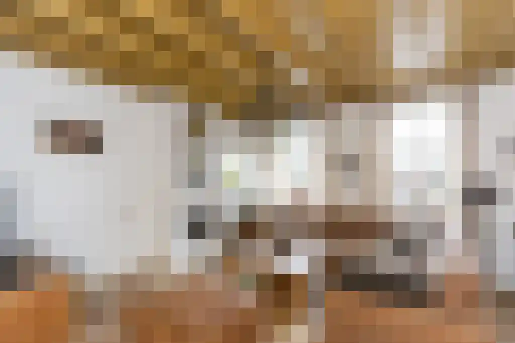 Voorstraat 9 Made thumbnail 5