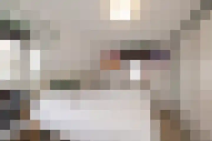 Voorstraat 9 Noordwijk thumbnail 17