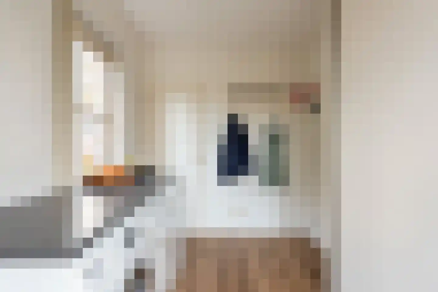 Voorstraat 9 Roelofarendsveen thumbnail 20