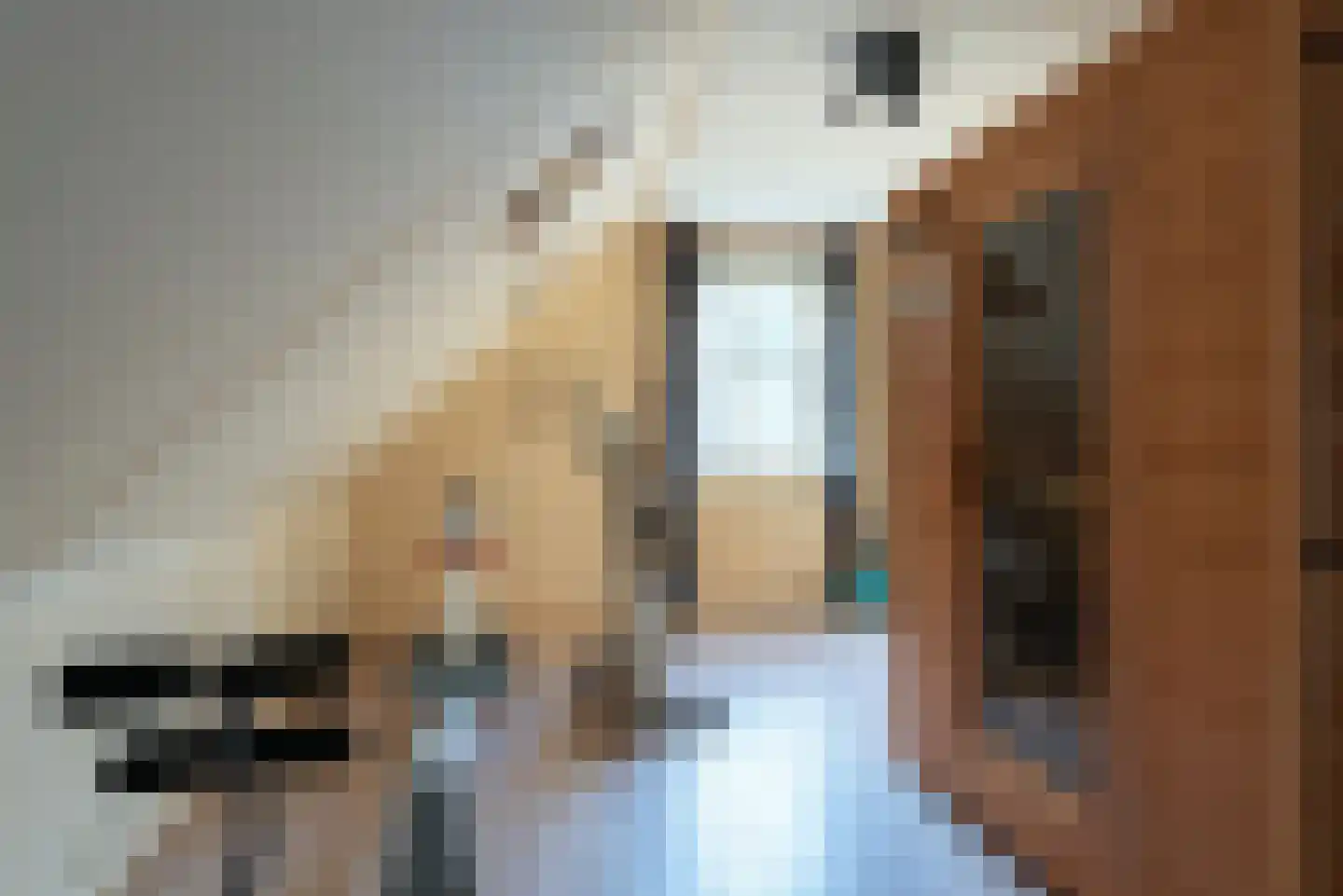 Voorstraat 9 Roelofarendsveen thumbnail 29