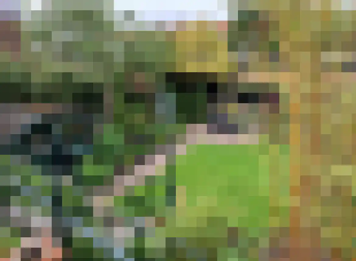 Voorstraat 9 Roelofarendsveen thumbnail 40