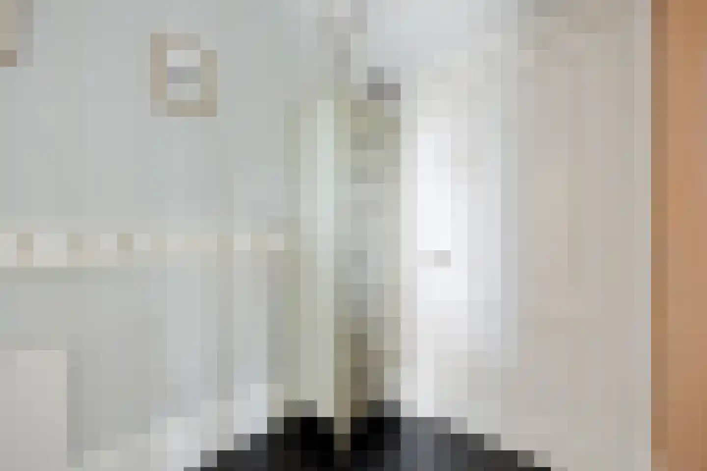 Voorstraat 9 Sommelsdijk thumbnail 19