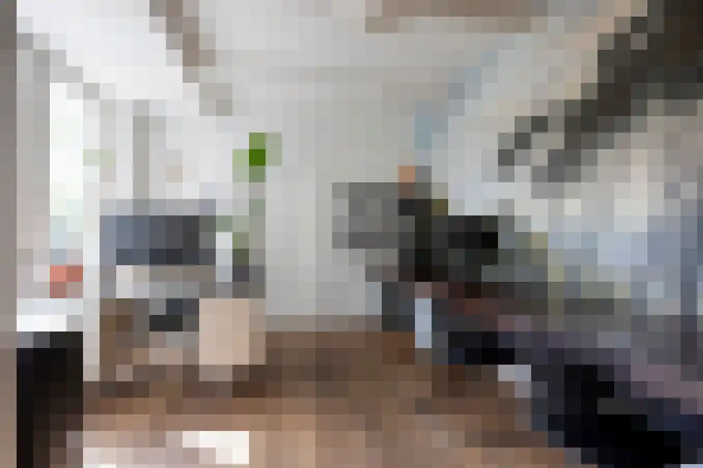 Voorstraat 9 Sommelsdijk thumbnail 20