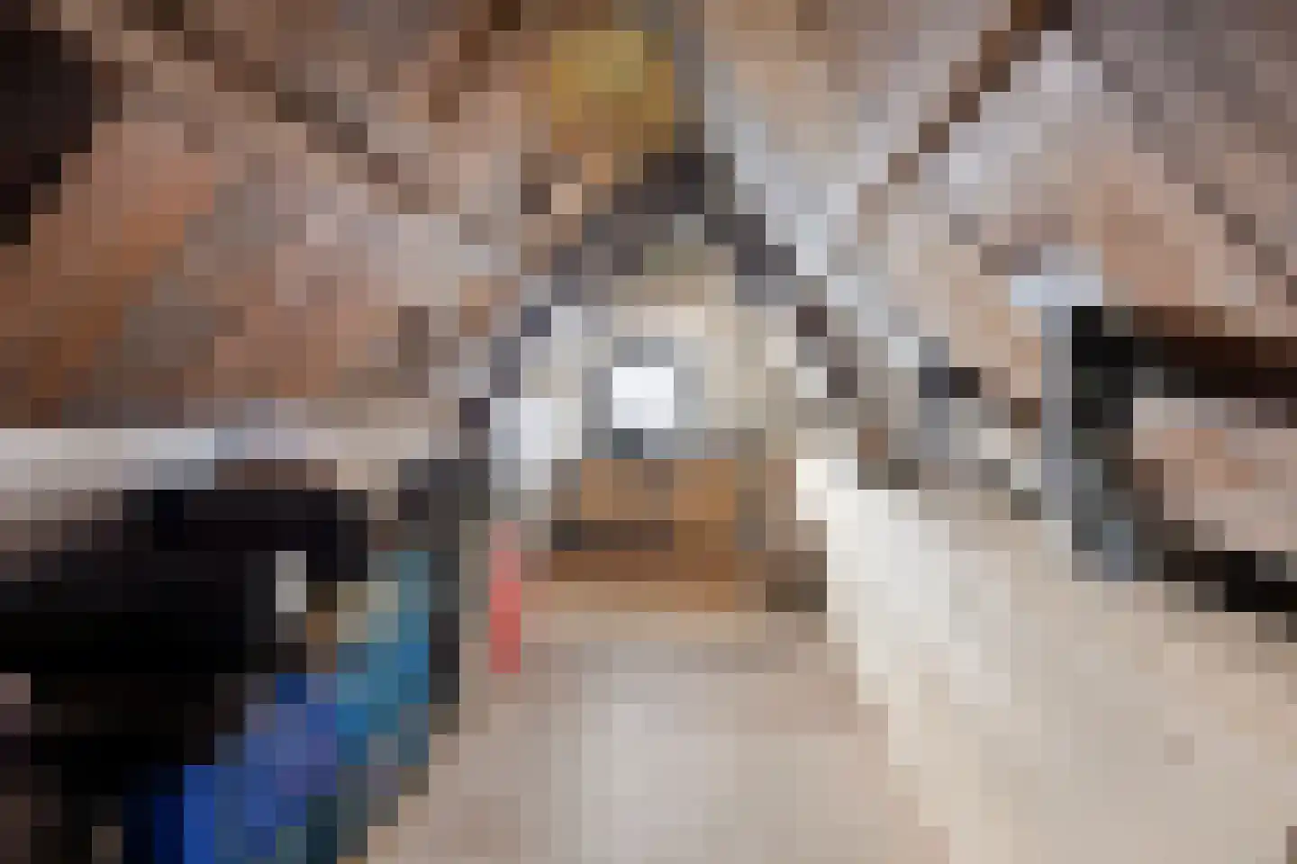 Voorstraat 9 Sommelsdijk thumbnail 23