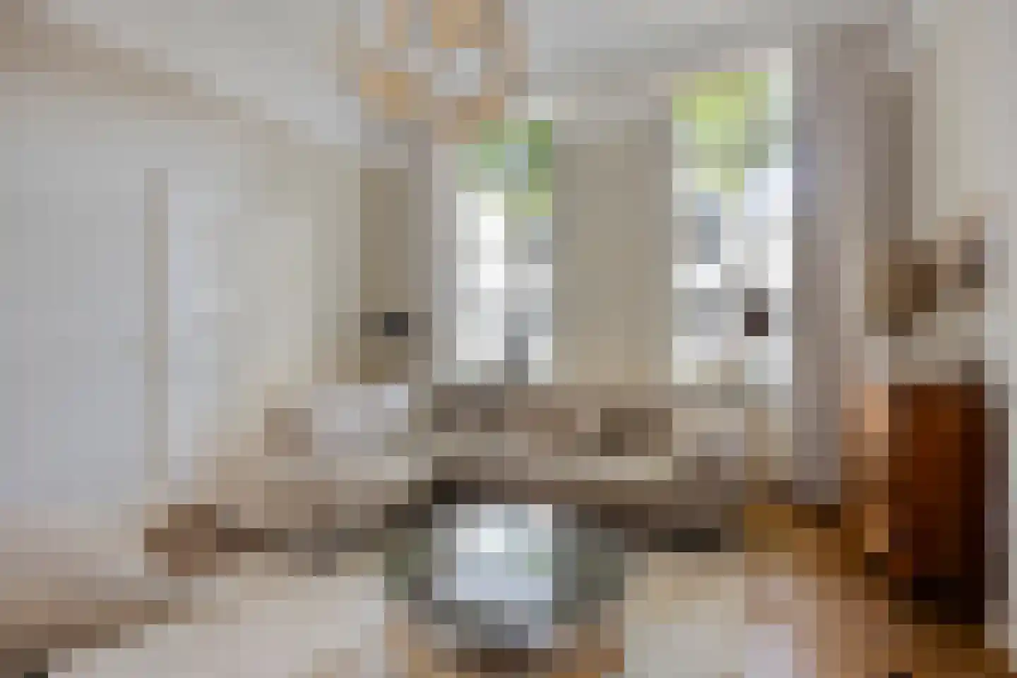 Voorstraat 9 Sommelsdijk thumbnail 4