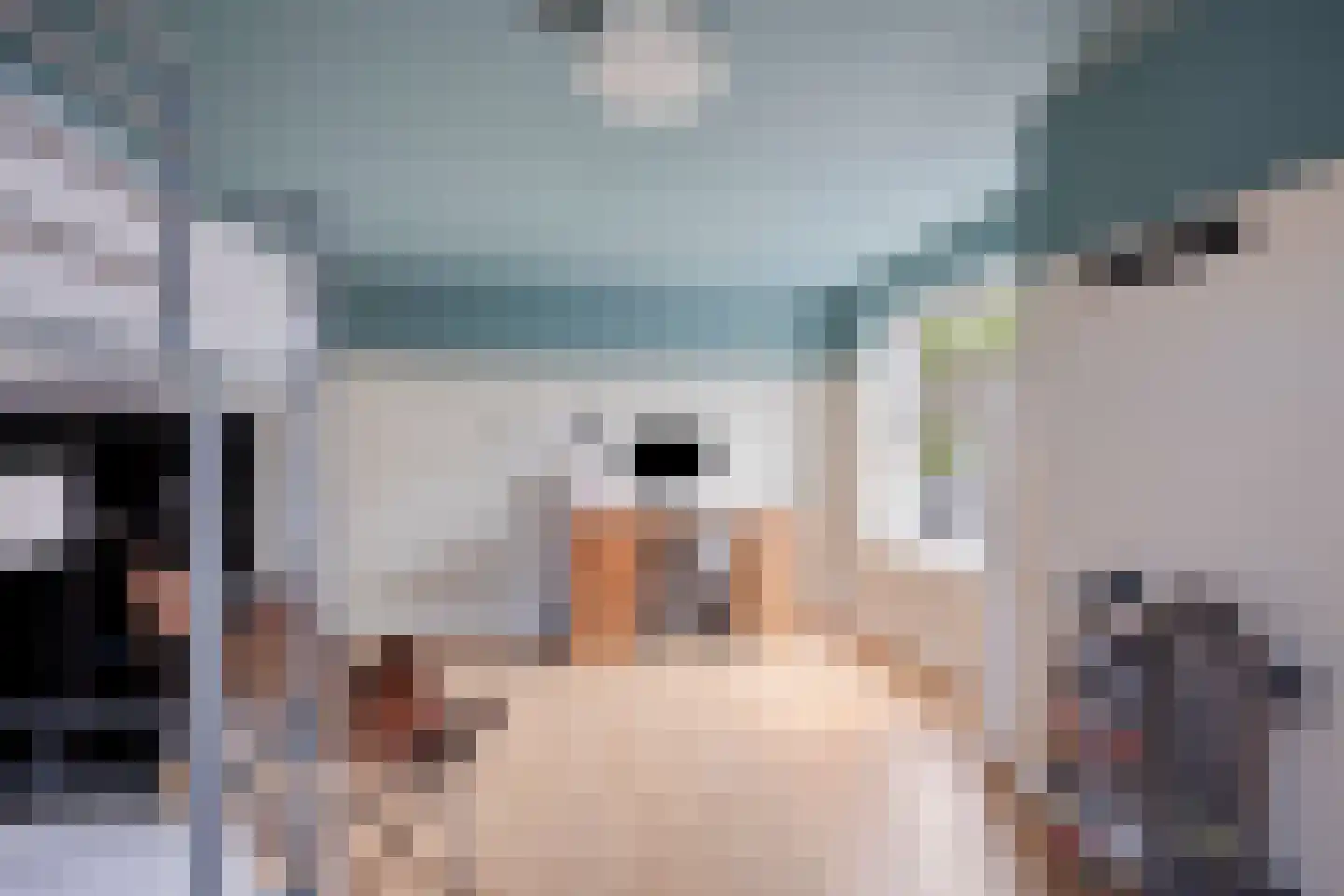 Voorstraat 9 Sommelsdijk thumbnail 42