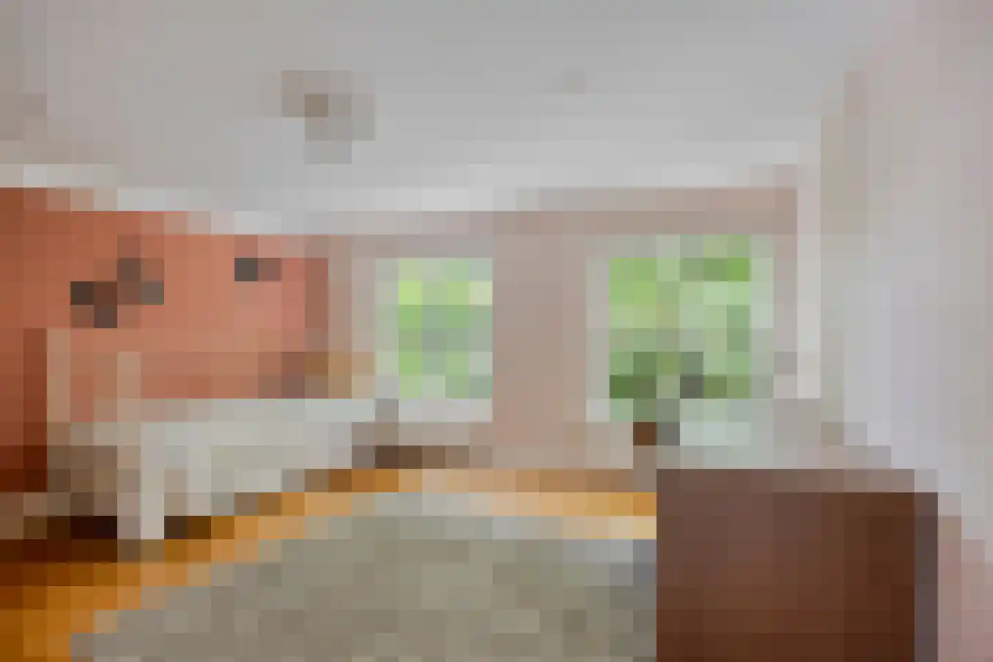 Voorstraat 9 Sommelsdijk thumbnail 47