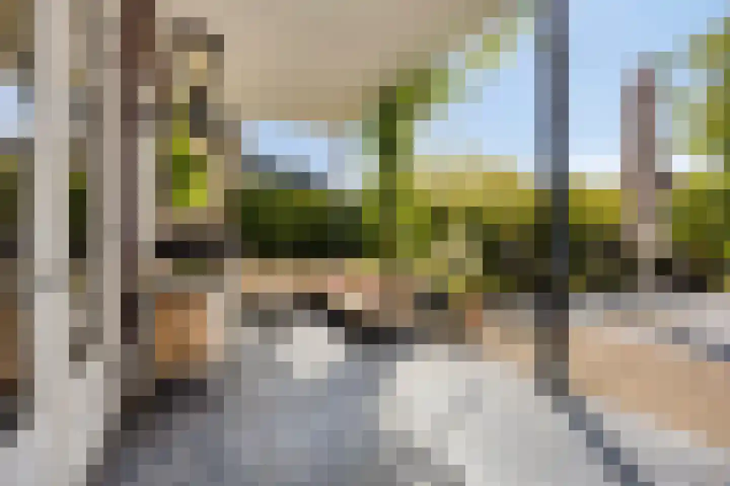 Voorstraat 9 Sommelsdijk thumbnail 51