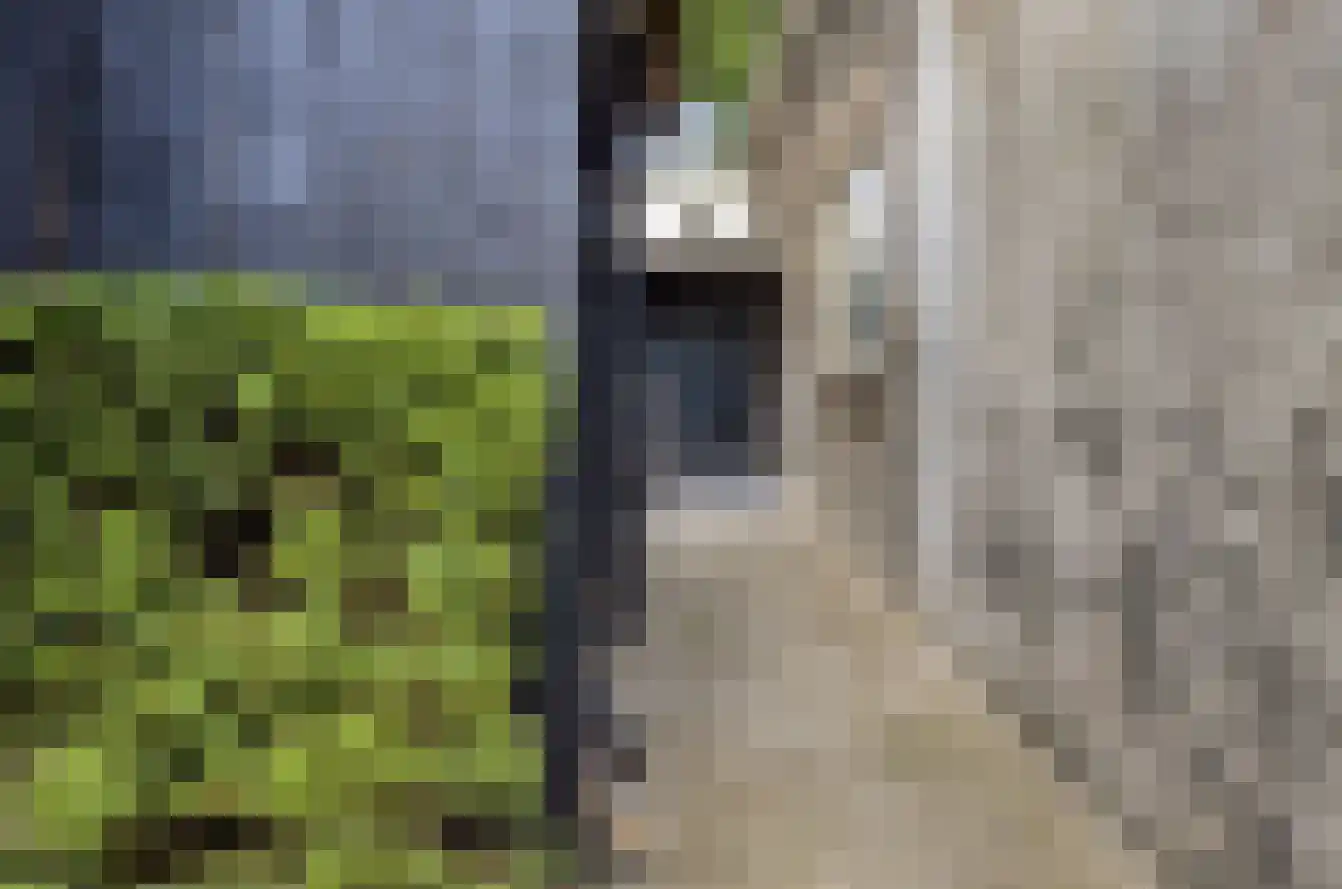 Voorstraat 9 Sommelsdijk thumbnail 58