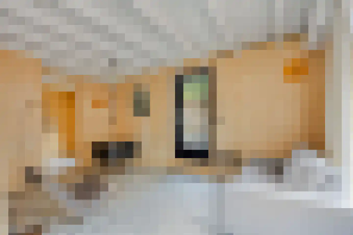Voorstraat 9 Sommelsdijk thumbnail 59