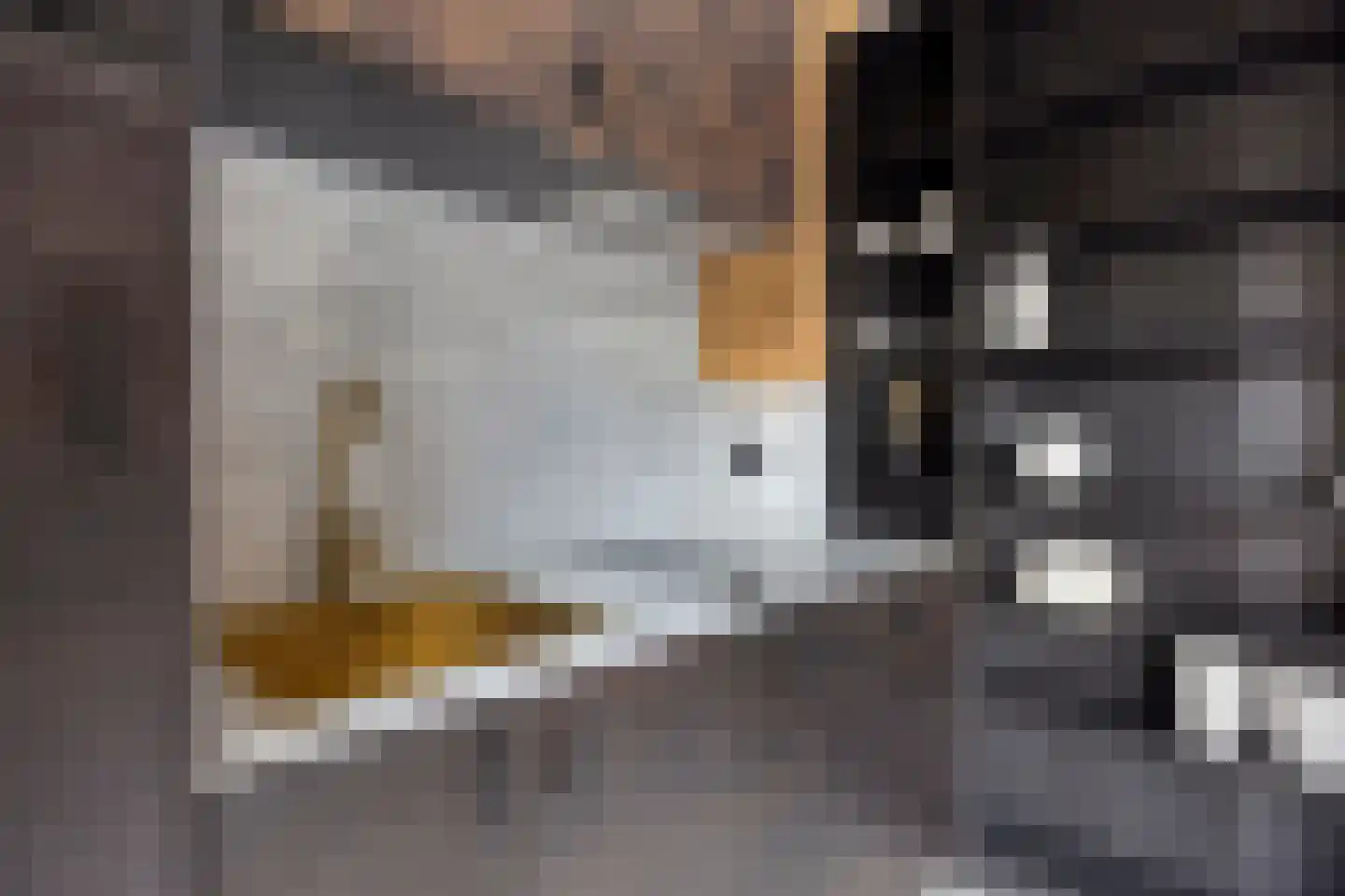Voorstraat 9 Sommelsdijk thumbnail 62