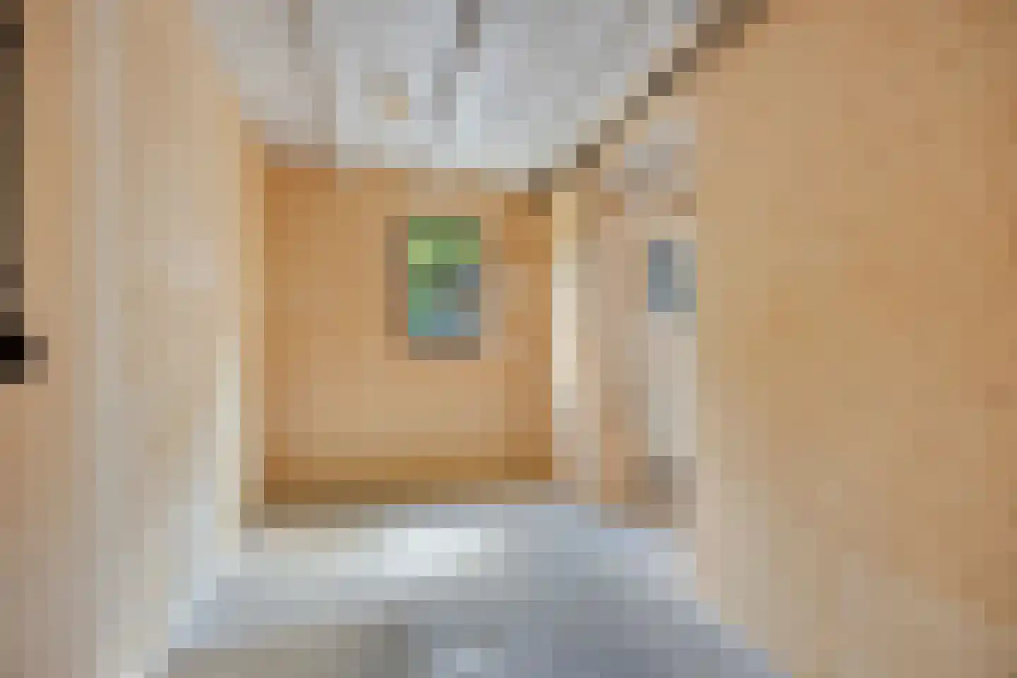 Voorstraat 9 Sommelsdijk thumbnail 63