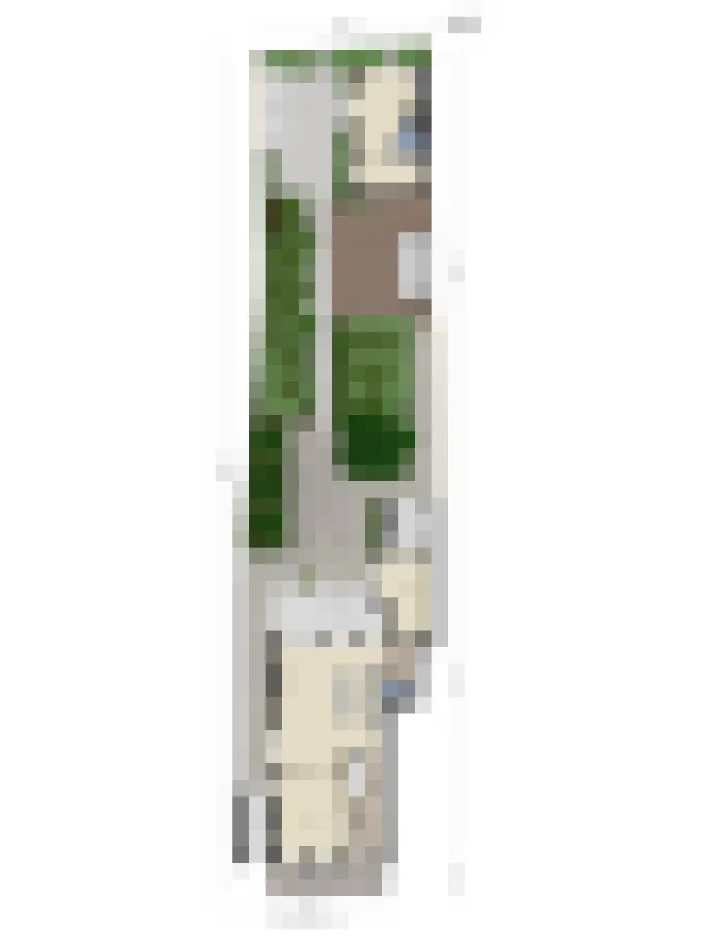 Voorstraat 9 Sommelsdijk thumbnail 69