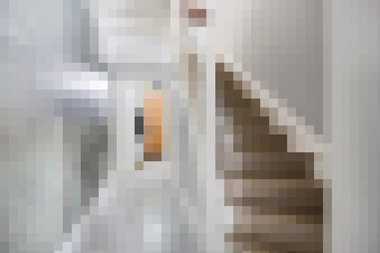 Voorstraat 9 Sommelsdijk thumbnail 7