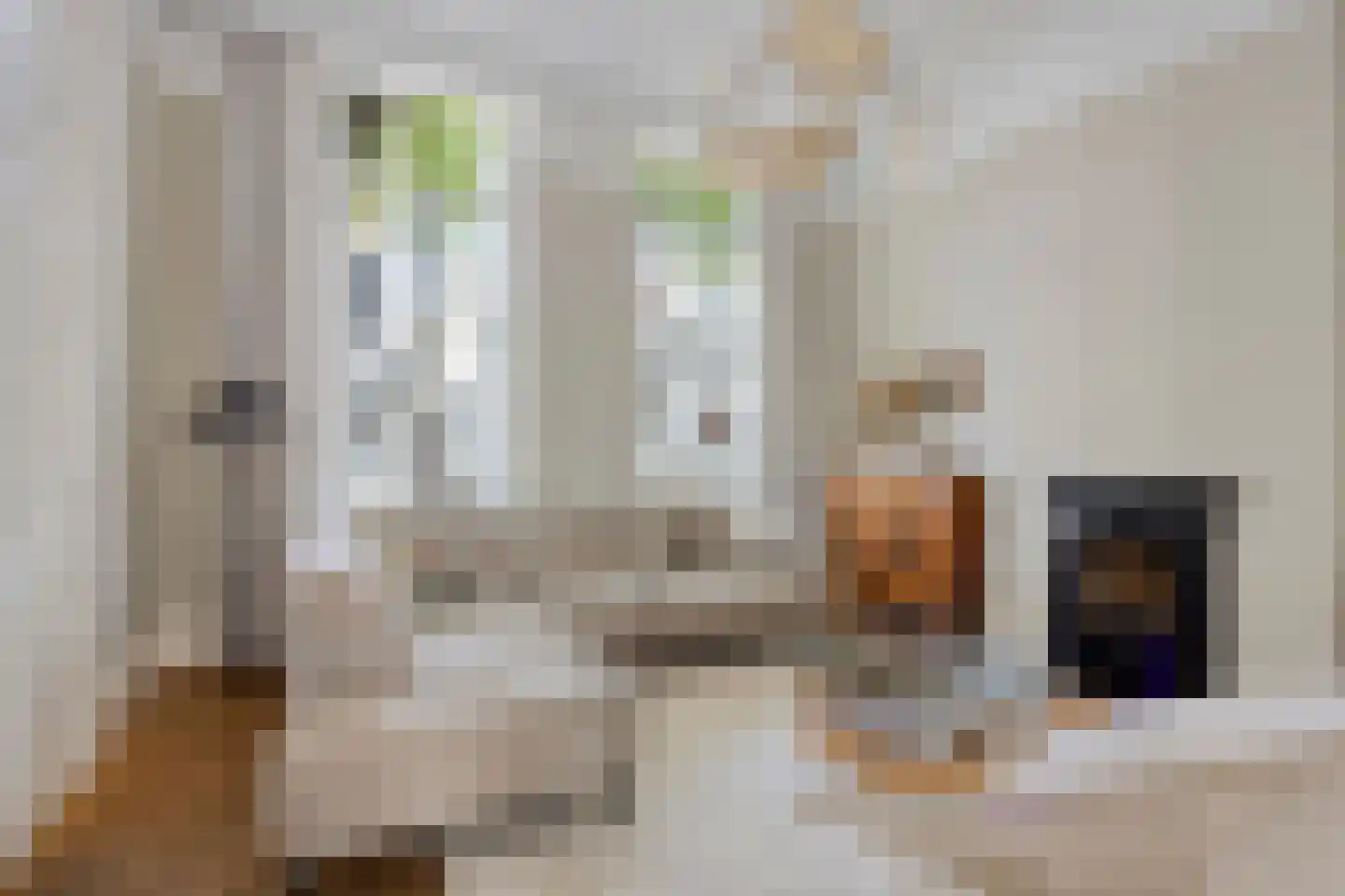 Voorstraat 9 Sommelsdijk thumbnail 9