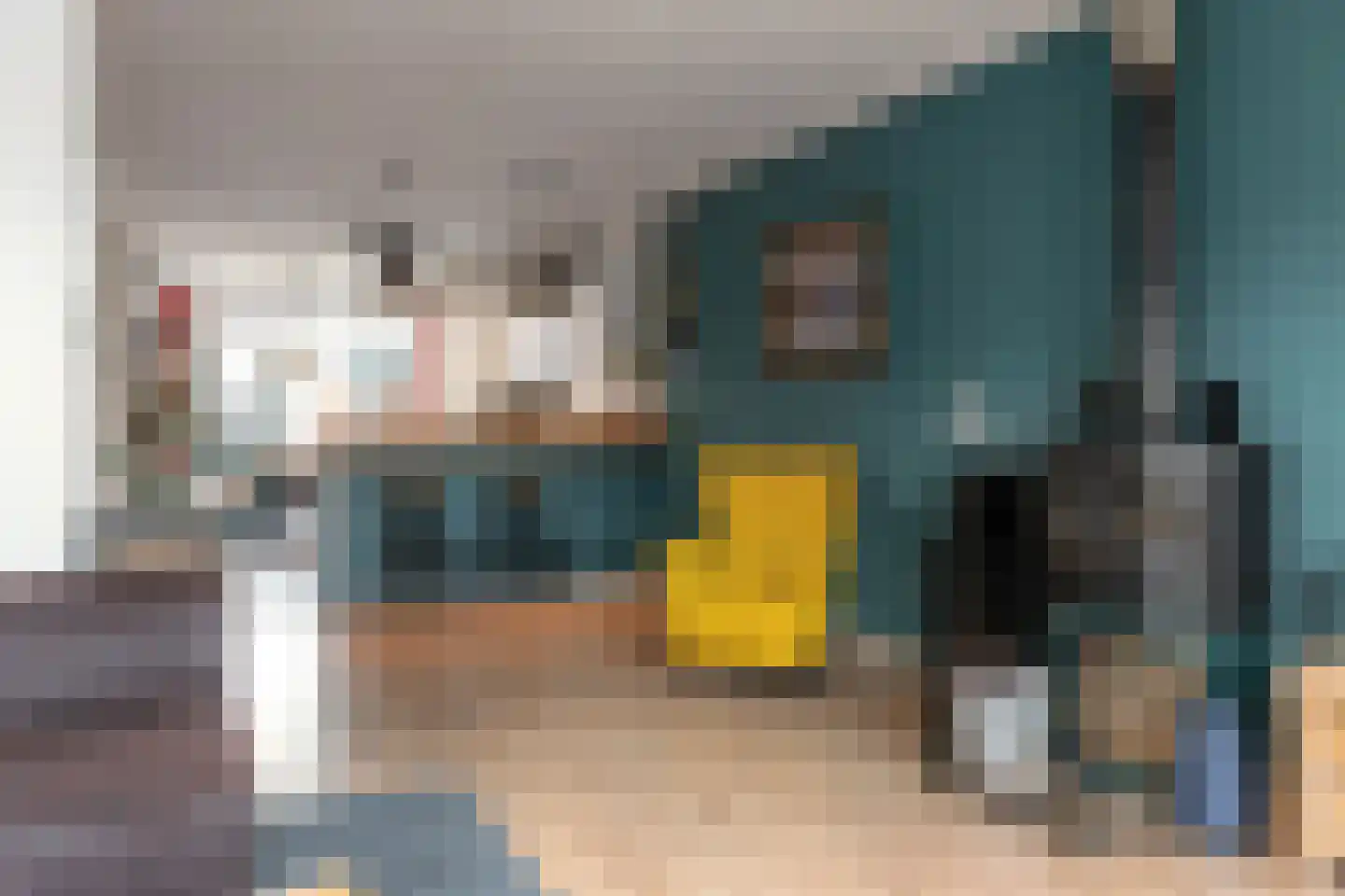 Voorstraat 9 Tzum thumbnail 12