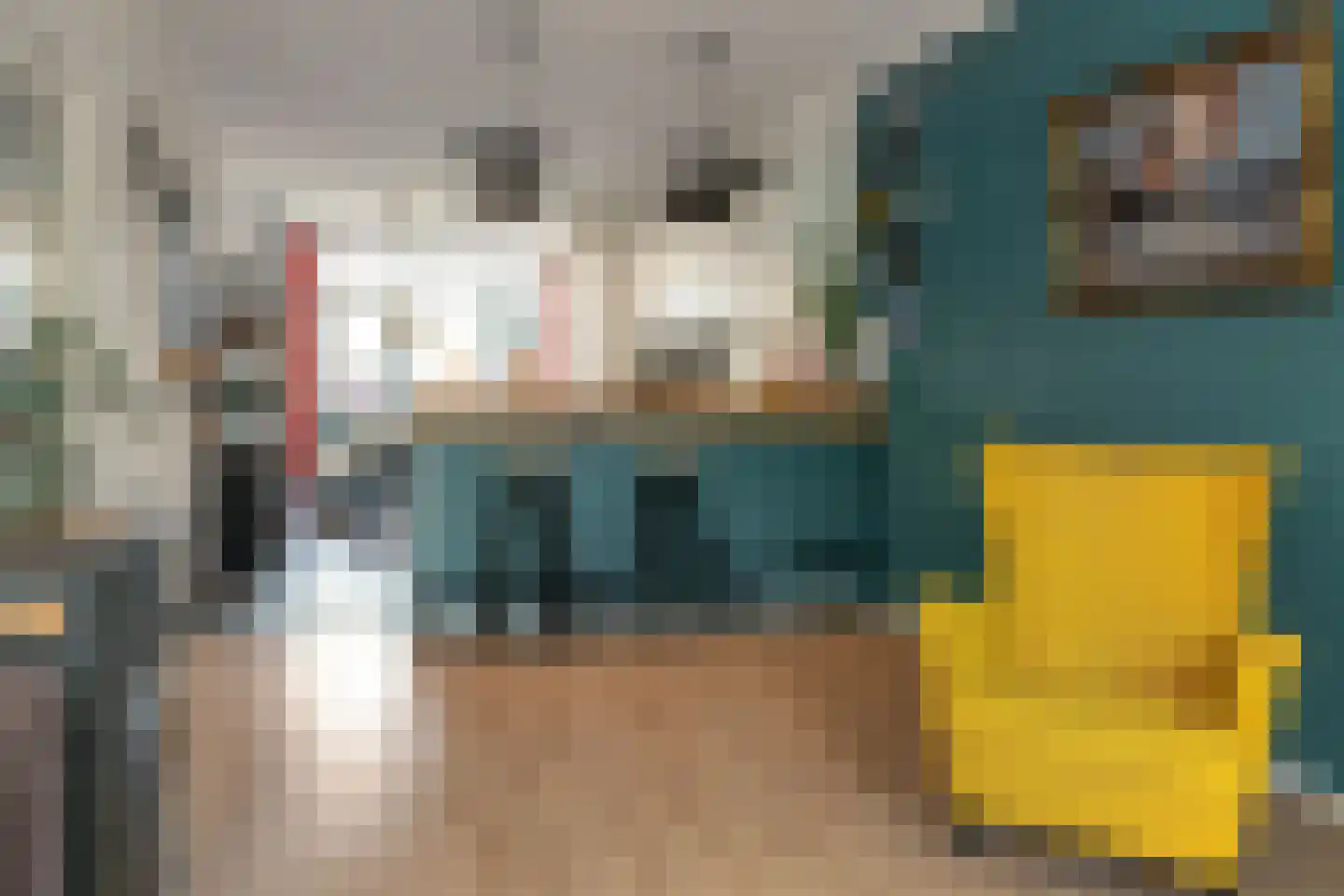 Voorstraat 9 Tzum thumbnail 13