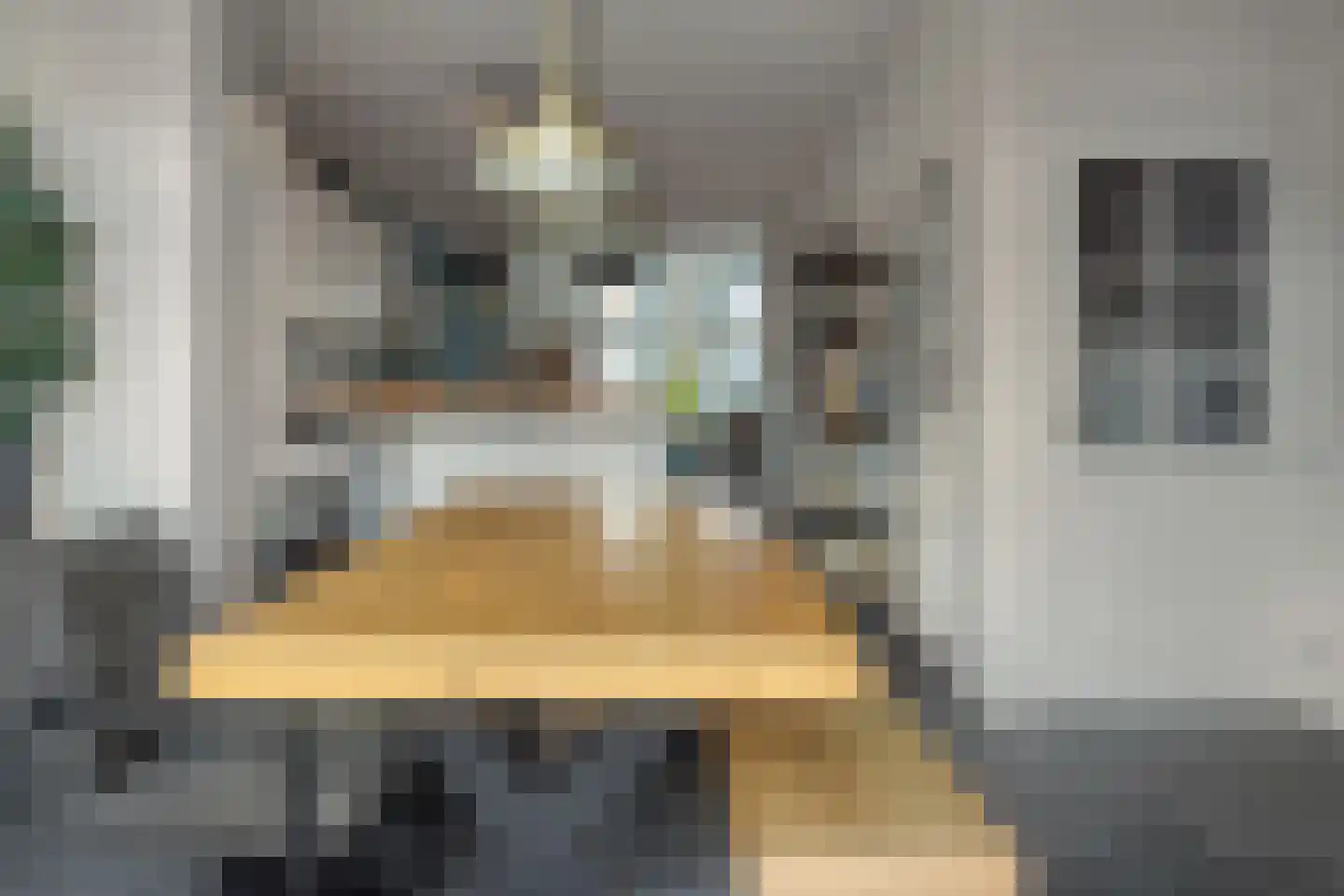Voorstraat 9 Tzum thumbnail 20