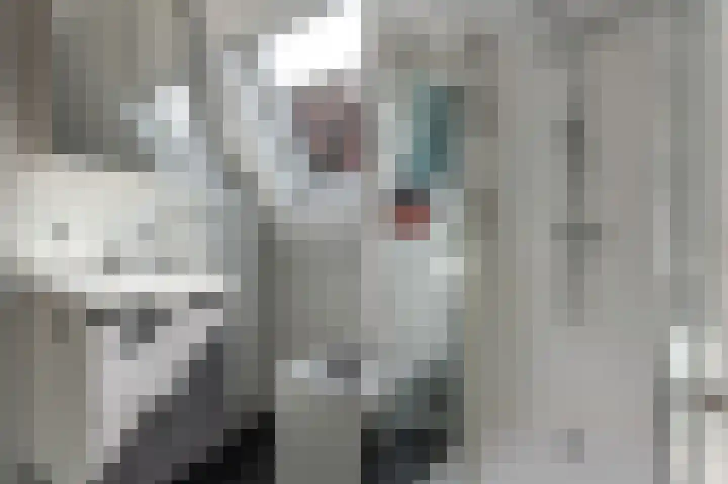 Voorstraat 9 Tzum thumbnail 31