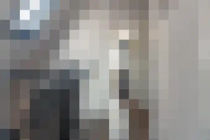 Voorstraat 9 Tzum thumbnail 32