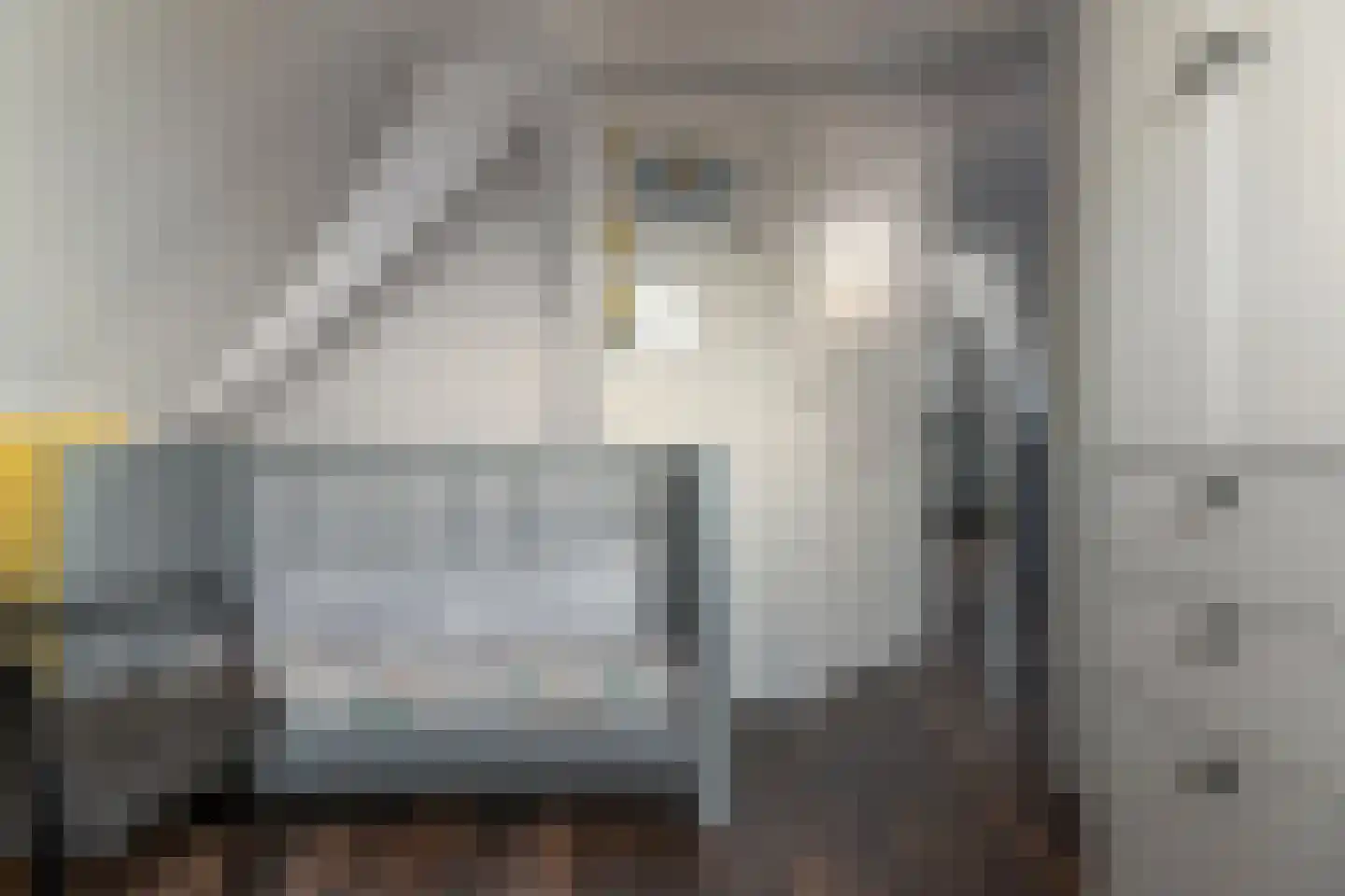 Voorstraat 9 Tzum thumbnail 35