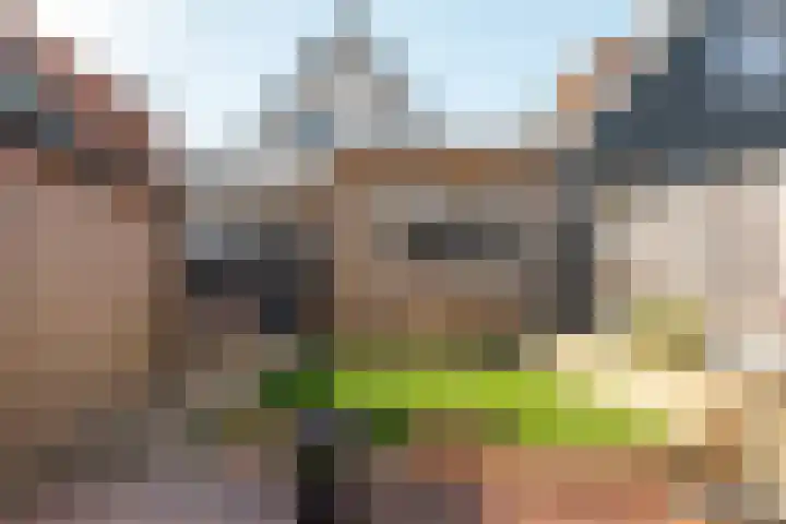 Voorstraat 9 Tzum thumbnail 37