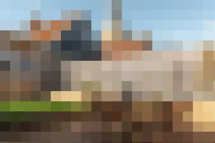 Voorstraat 9 Tzum thumbnail 38