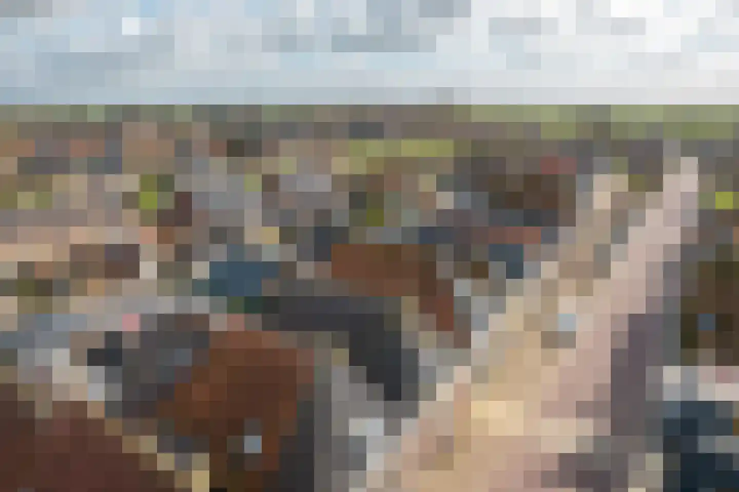 Voorstraat 9 Tzum thumbnail 44