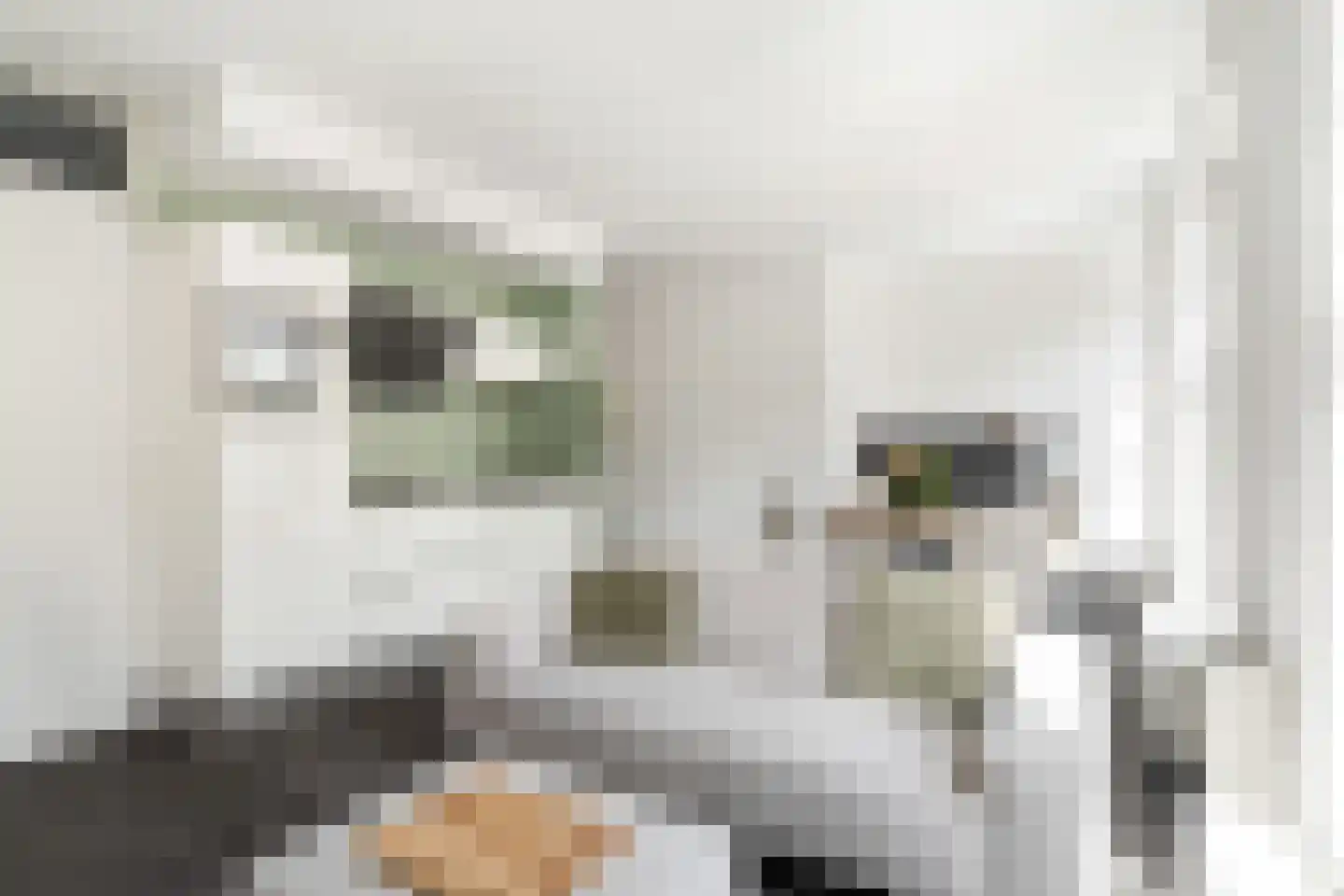 Voorstraat 91 D Woerden thumbnail 10