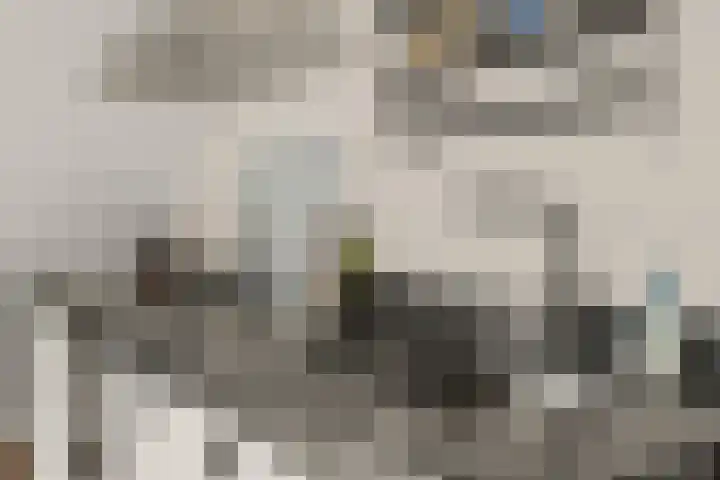 Voorstraat 91 D Woerden thumbnail 15