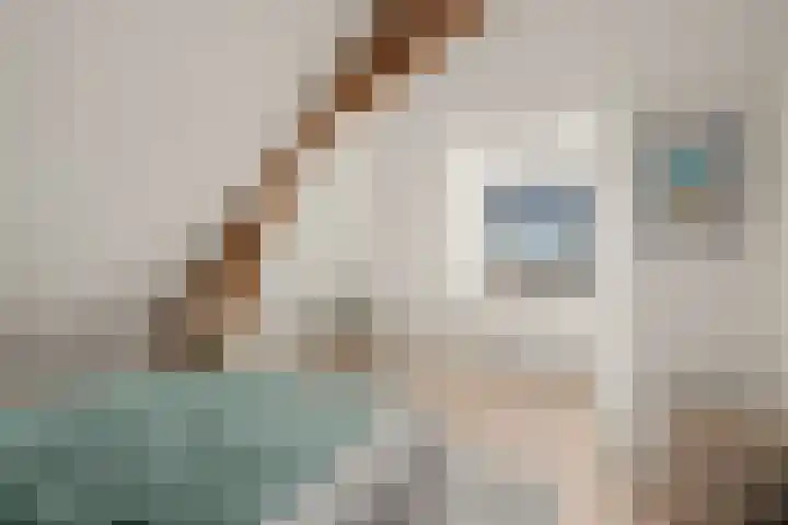 Voorstraat 91 D Woerden thumbnail 16