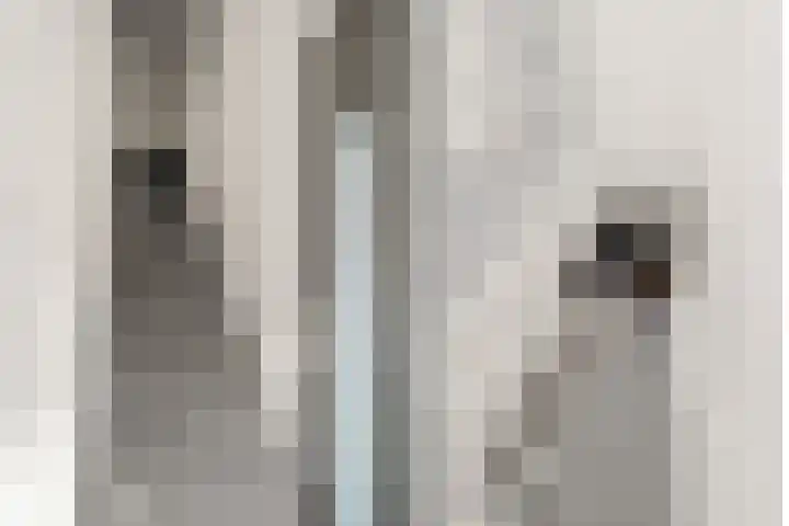 Voorstraat 91 D Woerden thumbnail 5