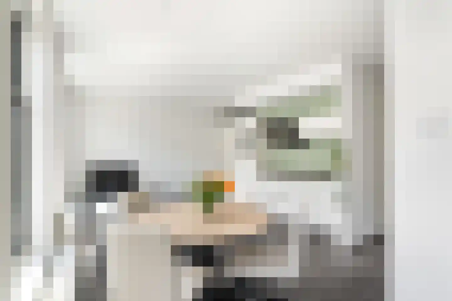 Voorstraat 91 D Woerden thumbnail 9