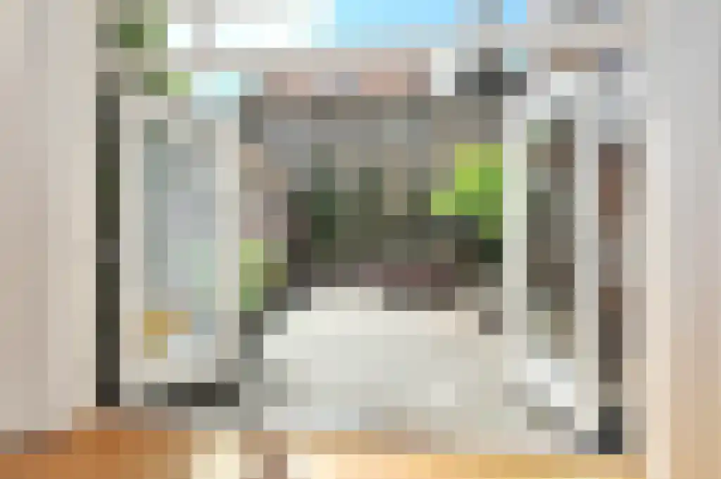 Voorstraat 91 Delft thumbnail 6
