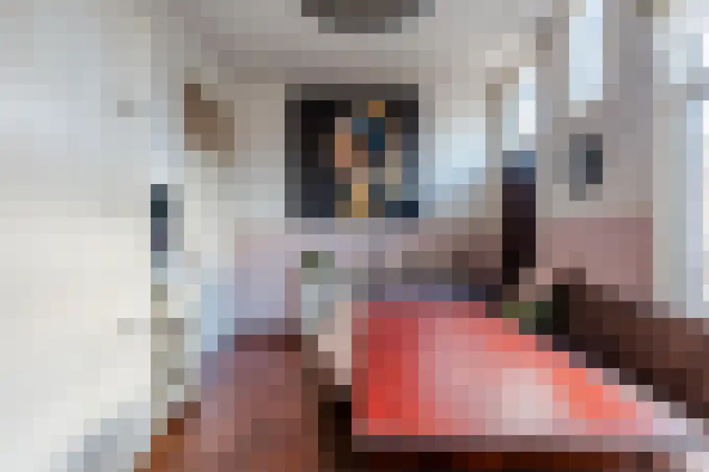 Voorstraat 94 Poeldijk thumbnail 24