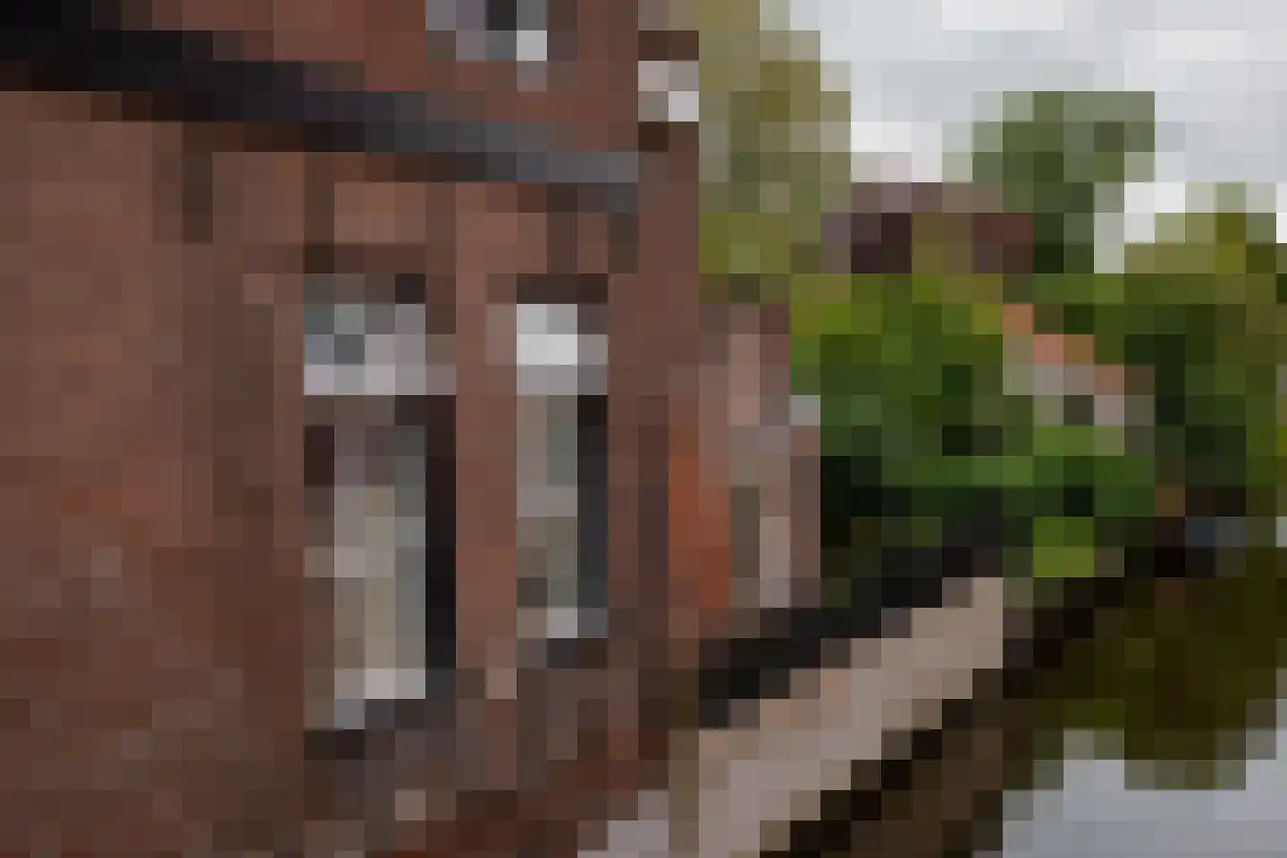 Voorstraat 96 Kollum thumbnail 19