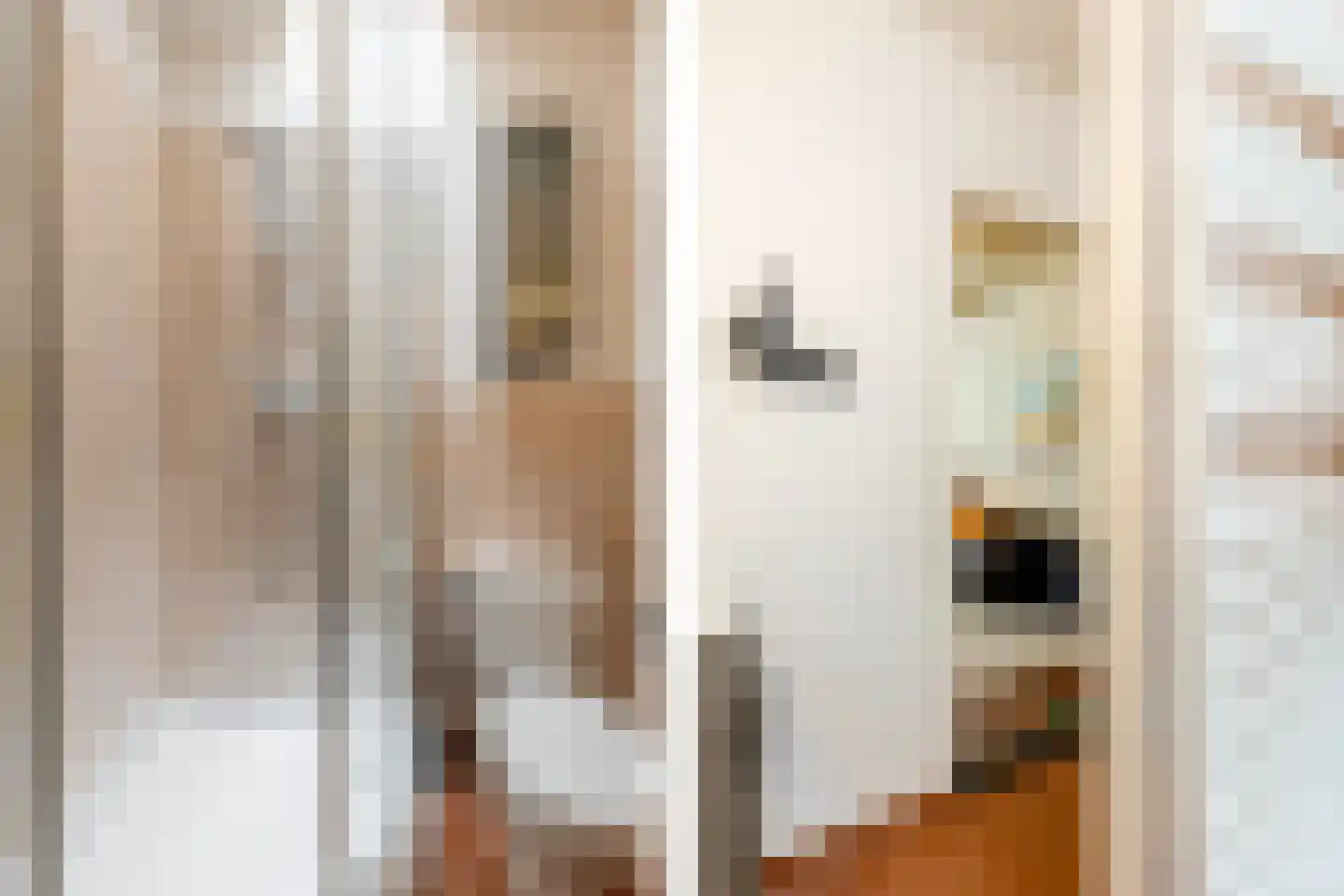 Voorstraat 98 Brielle thumbnail 21