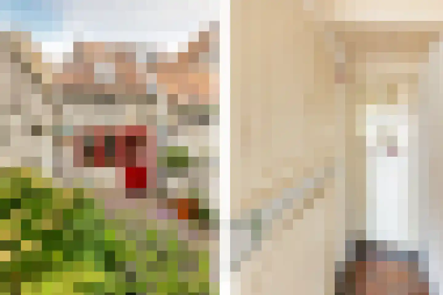 Voorstraat 98 Brielle thumbnail 28
