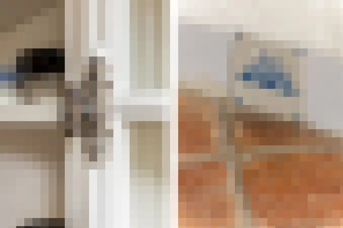 Voorstraat 98 Brielle thumbnail 31