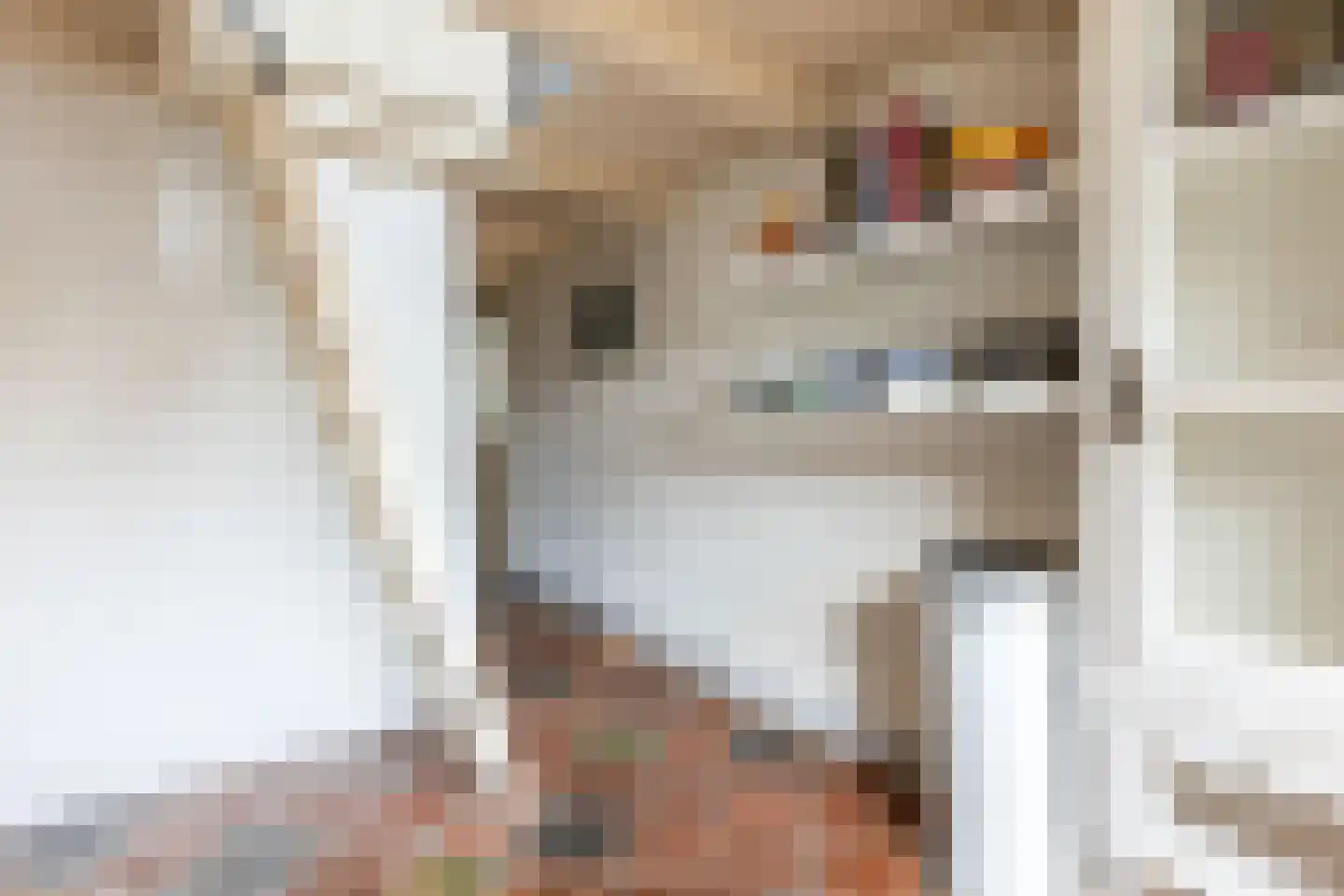 Voorstraat 98 Brielle thumbnail 32