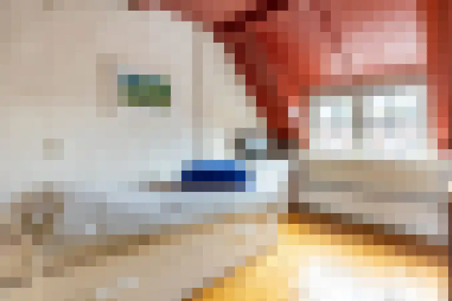 Voorstraat 98 Brielle thumbnail 37