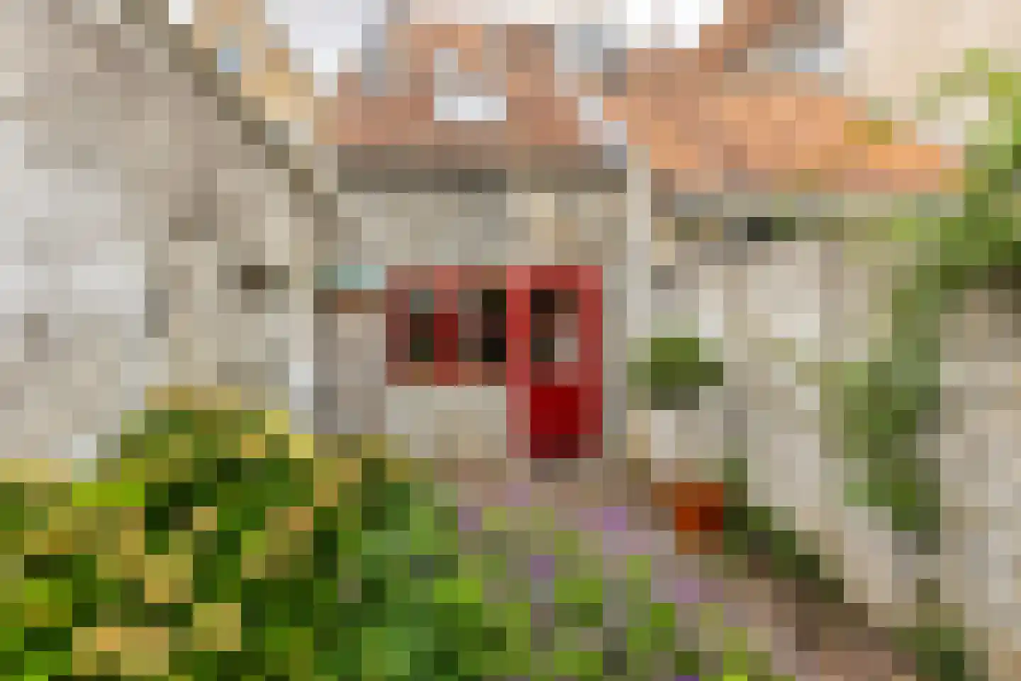 Voorstraat 98 Brielle thumbnail 5
