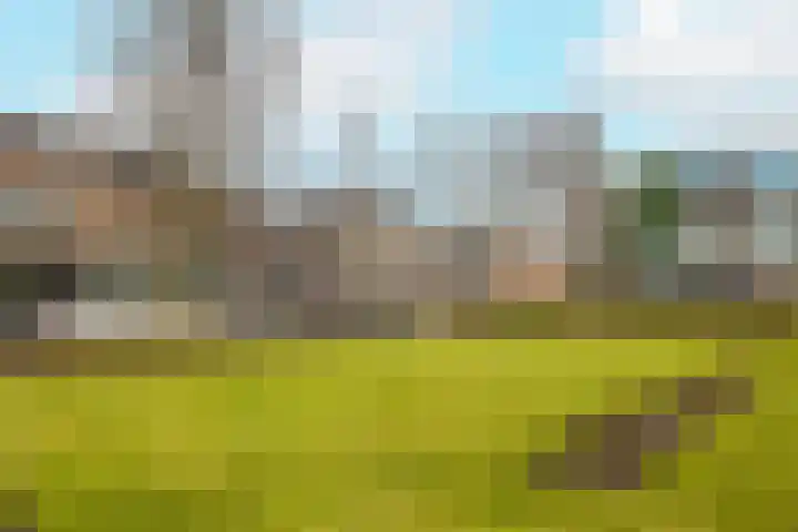 Voorstraat 98 E Poeldijk thumbnail 22