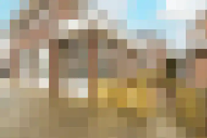 Voorstraat 98 E Poeldijk thumbnail 26