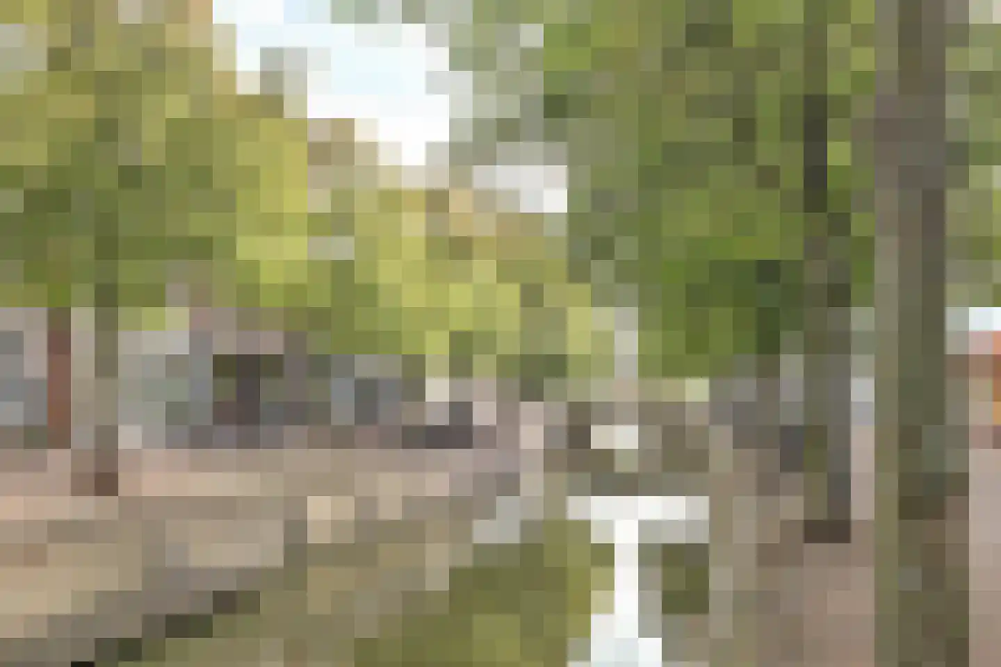 Voorstraat 99 Harlingen thumbnail 38