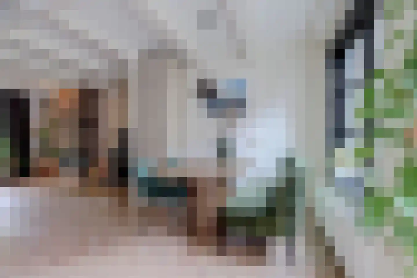 Voorstraat 99 Harlingen thumbnail 4