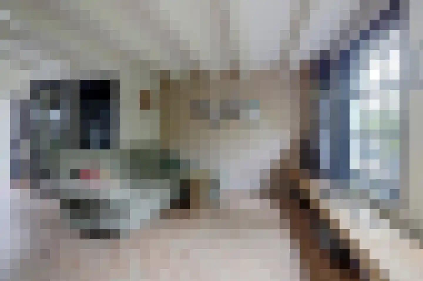Voorstraat 99 Harlingen thumbnail 7